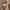 Phytolastil Concentrado - Corrección de estrías